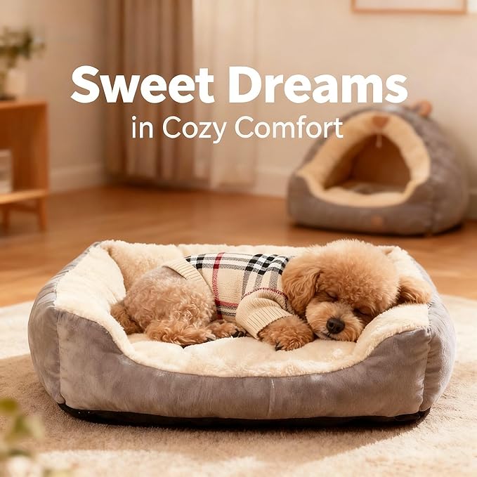 Small/Medium Dog Sweater, Warm Dog Winter Coat w/Sleeves, Comfortable High Neck & Leash Hole, Premium Dog Clothes for Mini Poodle-Best for Holidays, Daily Walks M Apricot