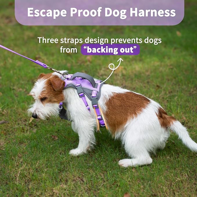 Huntboo Reflective Dog Harness with Handle, Escape Proof, No Slip,Breathable, Lightweight,Adjustable Lift Harness for Small,Medium,and Large Dogs Walking, Training,and Running Gear(Lavender Purple,XS)