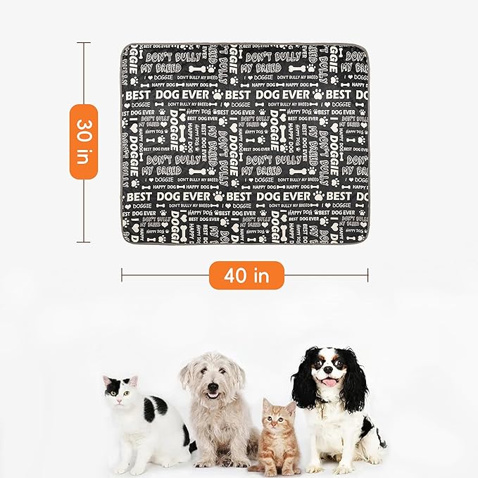 Waterproof Dog Blankets Pet Blanket, 30"x40" Cat Blanket for Indoor Cats, Soft Fluffy Sofa Car Bed Protector, Reversible Sherpa Fleece Puppy Blanket for Small Medium Dogs(Letters)