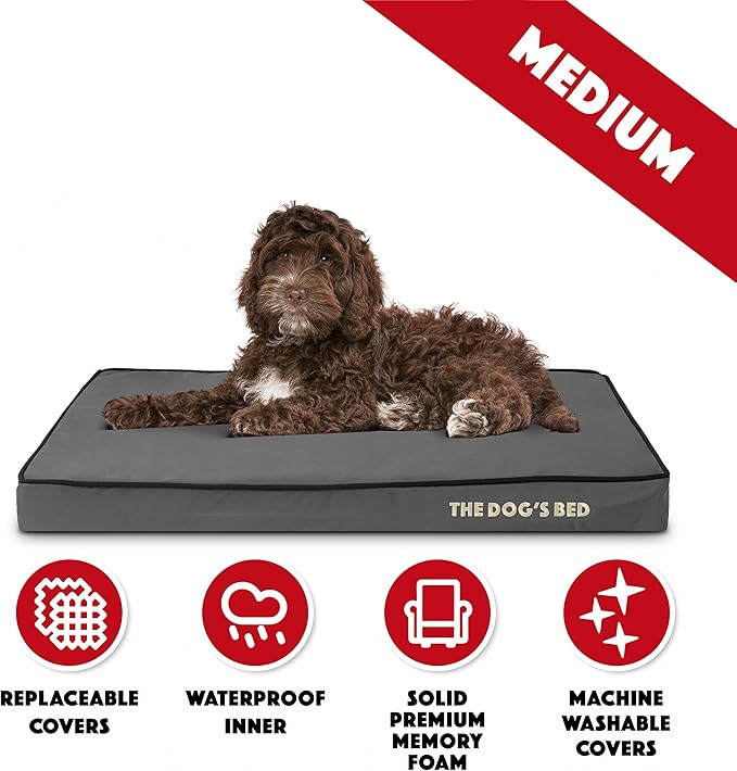 The Dog’s Bed Orthopedic Memory Foam Dog Bed, Medium Grey & Black, Waterproof, Supportive Dog Bed with Replaceable Covers