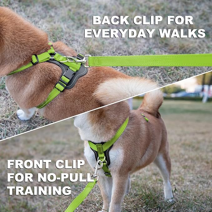 Plutus Pet Adjustable No Pull Dog Harness with Leather Accents, Heavy Duty Reflective Nylon Vest for Training, Hiking, Easy Walk Harness for Small, Medium, Large Dogs (Green, L)