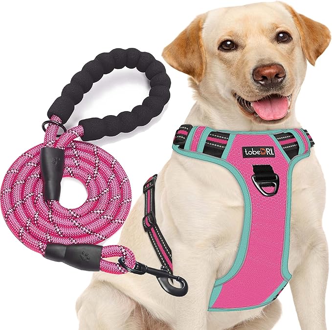 No Pull Dog Harness Adjustable Reflective Oxford Easy Control Medium Large Dog Harness with A Free Heavy Duty 5ft Dog Leash (S (Neck: 14"-17", Chest: 18.5"-20"), Pink/Blue Harness+Leash)