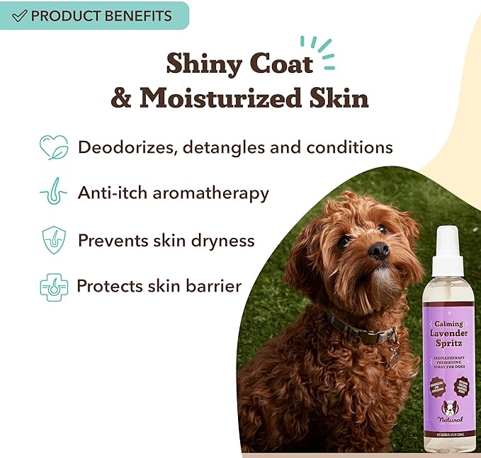 Natural Dog Company Calming Lavender Spritz 8 oz – Hypoallergenic Dog Deodorizing Spray with Aloe & Oatmeal – Refreshes Coat, Soothes Sensitive Skin – Natural Lavender Scent, No Artificial Fragrance