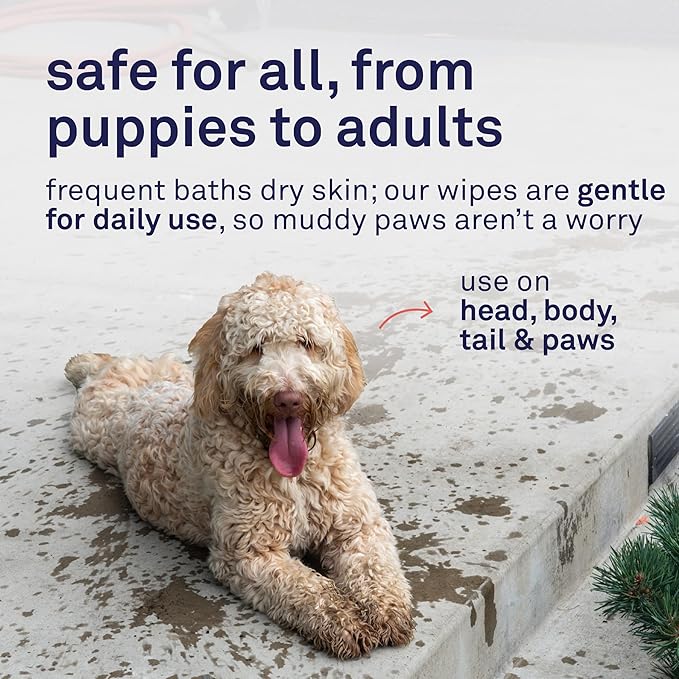 Petpost Large Grooming Wipes for Dogs | 70 Count Deodorizing Dog Cleaning Wipes with Coconut Extract & Aloe | Gentle Pet Wipes with Cherry Blossom Scent for Full-Body Grooming