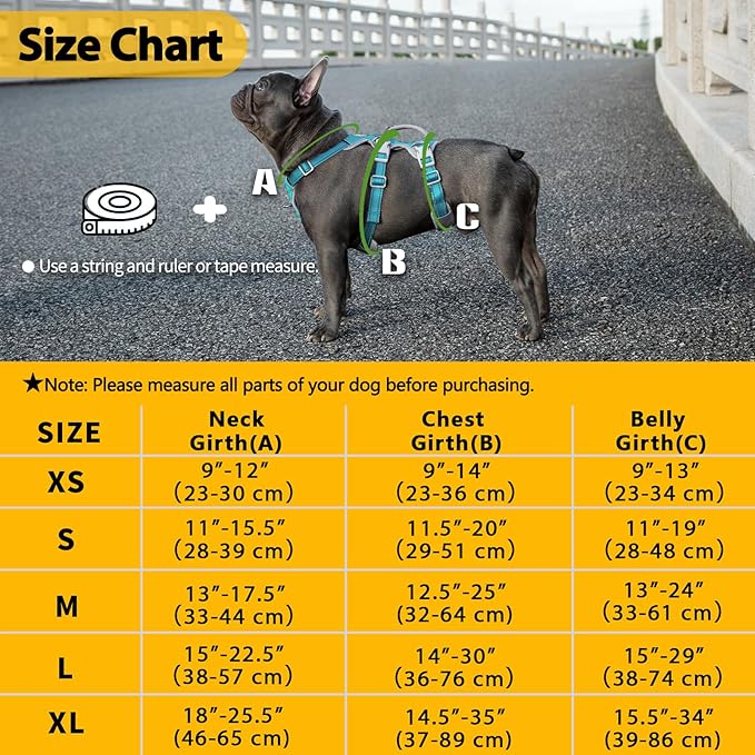 Huntboo Escape Proof Dog Harness, No Pull Reflective Harness with Lift Handle, Adjustable Pet Vest with Front and Back Leash Clips for Small Medium Large Dogs Walking Hiking Training (Teal,XL)