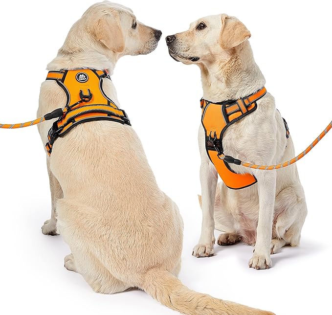 NESTROAD No Pull Dog Harness,Adjustable Oxford Dog Vest Harness with Leash,Reflective No-Choke Pet Harness with Easy Control Soft Handle for Small Medium Dogs(Medium,Orange)