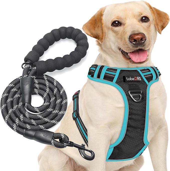 No Pull Harness with A Free Heavy Duty 5ft Leash for Medium Large Dog Adjustable Reflective Oxford Easy Control (L (Neck: 18"-25.5", Chest: 25.5"-31"), Black/Blue Harness+Leash)