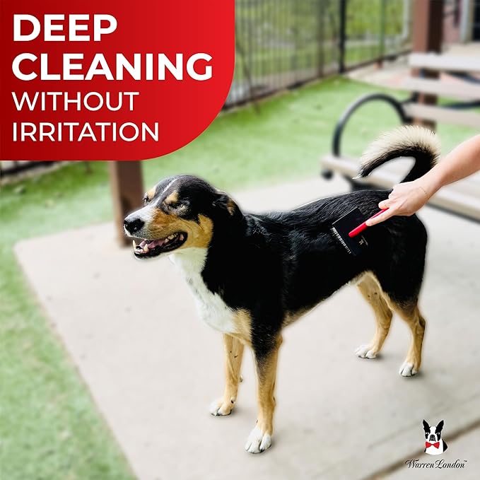 Warren London FurBreeze Pro Max Doodle Brush for Dogs – 4" x 3" Grooming Brush for Long & Thick Coats – Removes Mats & Tangles – Ideal for Goldendoodles, Poodles, Labradors – Professional Groomers