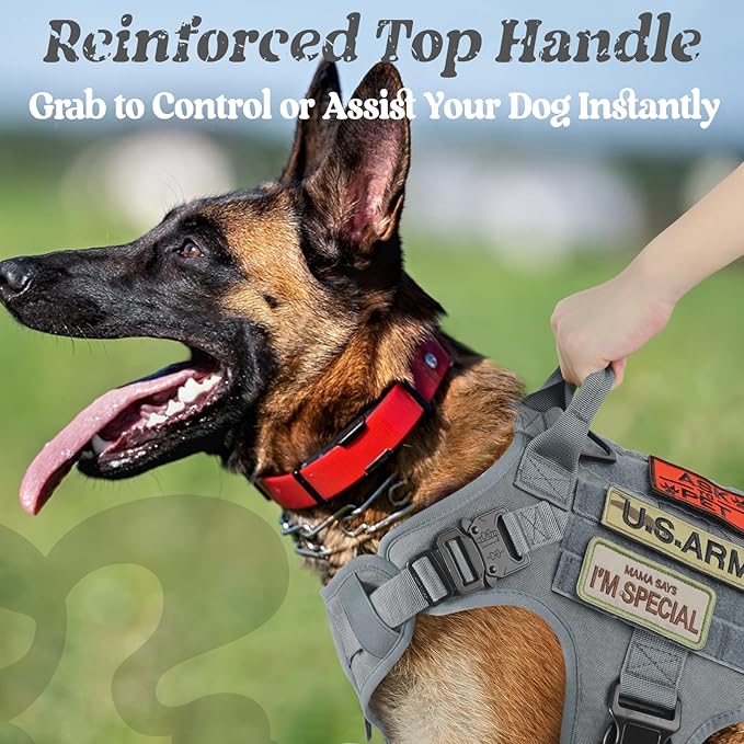 rabbitgoo Tactical Dog Harness Medium Sized, Heavy Duty Pet Harness with Handle, No-Pull Service Vest Medium Breed, Adjustable Military Dog Vest for Training Hunting Walking, Grey, M