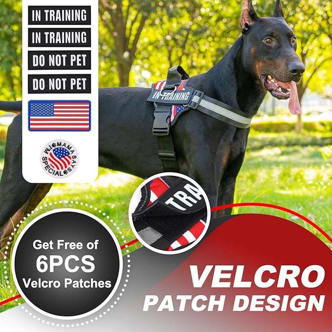 Essential Dog Harness with 3 Leash Clips - No-Pull, Adjustable, Comfortable Pet Vest Harness for Small to Large Dogs - Easy On, No Choke, Reflective, Padded Harness for Walking and Training