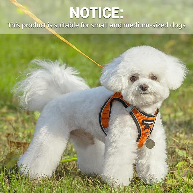 Dog Harness and Leash Set, Dog Harness for Dogs No Pull, No-Chock Step-in Reflective Breathable Lightweight Easy Walk Vest Harnesses with Safety Buckle for Small Medium Dogs, Cats (Orange, M)