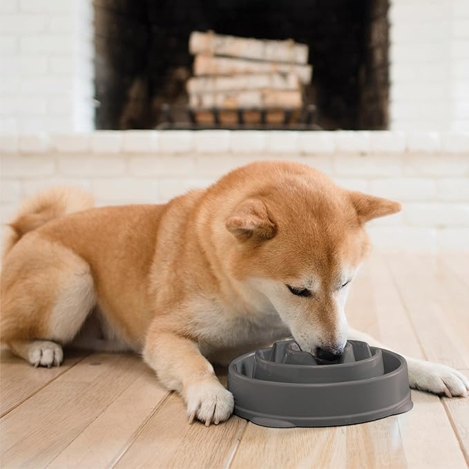 Outward Hound Medium Slow Feeder Bowl, Puzzle Maze for Fast Eaters, Small to Medium Dogs, Helps Prevent Bloat & Aid Digestion, Holds 2 Cups Wet or Dry Food, Non-Slip, Made Without BPA, Gray
