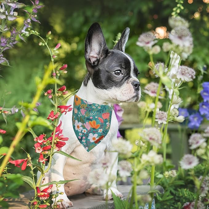 ADOGGYGO Floral Dog Bandana, Orange Green Flower Pet Scarf, Adjustable Fit Floral Bandanas for Small Dogs Pets (Small)