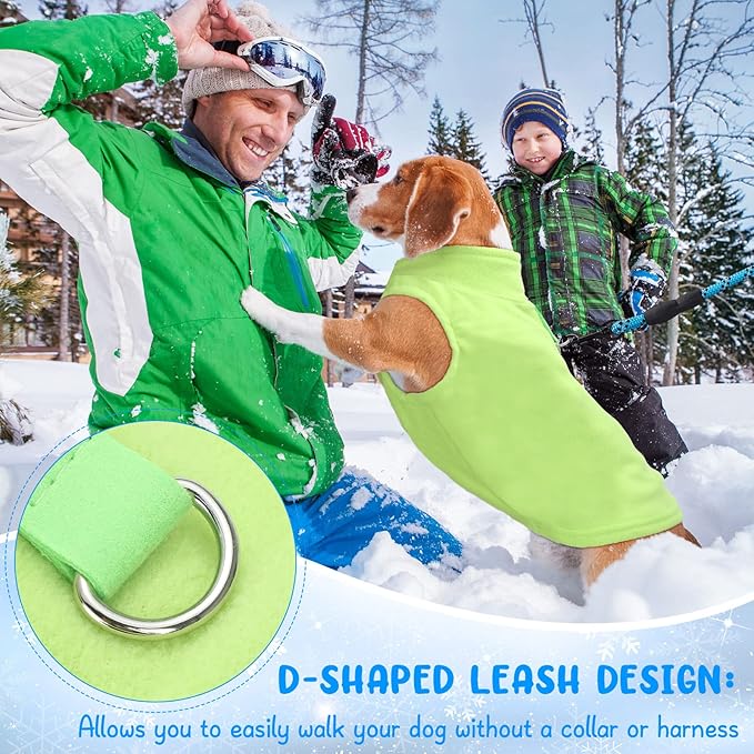 Reginary 10 Pack Large Dog Sweaters Fleece Pet Dog Clothes with Leash Ring Soft Warm Winter Puppy Plaid Shirt(Stylish)