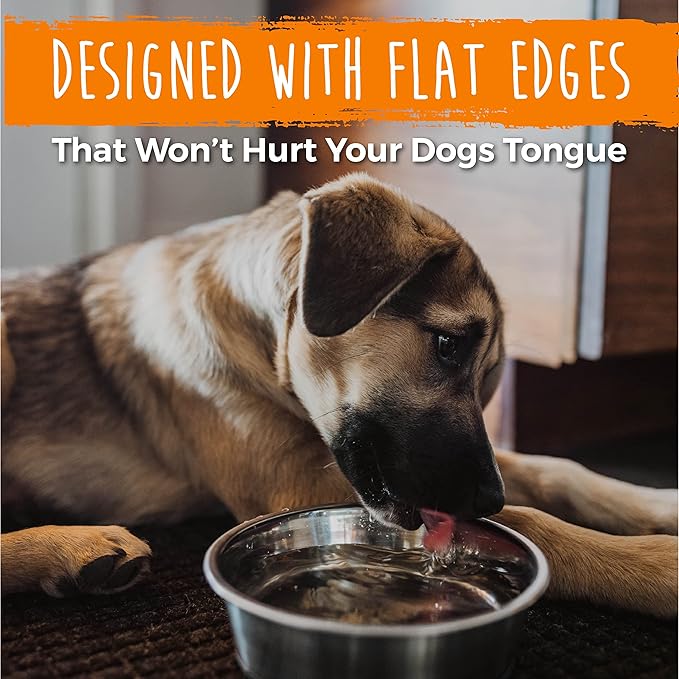 Mighty Paw Stainless Steel Dog Bowls - Steel Bowl Set - Pack of 2 - Non-Slip Rubber Bottom - No Spill Design - Safe Dog Food - Dishwasher Safe - Suitable for Small to Large Pets - Medium - 7 Inches