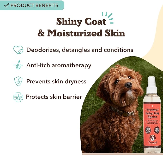 Natural Dog Company Itchy Dog Spritz 8 oz – Hypoallergenic Deodorizing Spray with Aloe, Lavender & Calendula – Soothes Itchy Skin, Refreshes Coat Between Baths – Free from Parabens, Sulfate & Alcohol