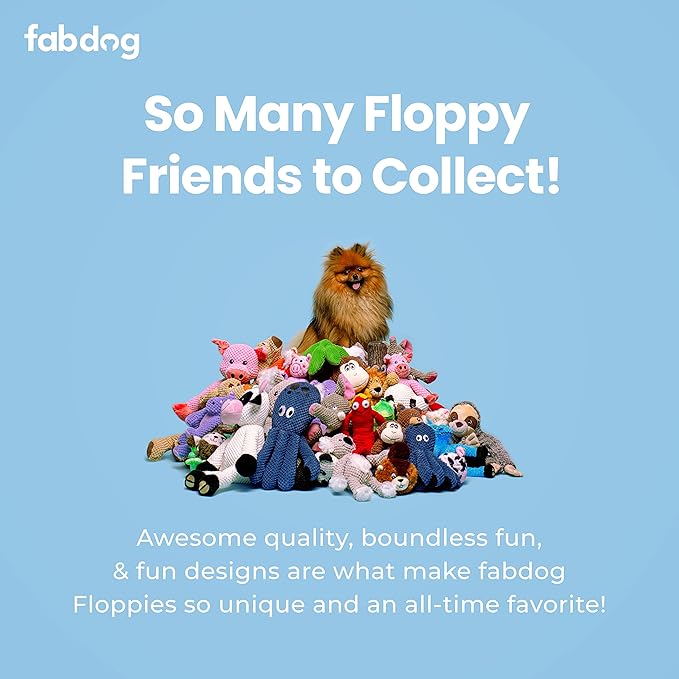 fabdog Floppies Plush Dog Toy - Cute & Durable Squeaky Dog Toys - Best Squeak Toy for Puppies and All Breeds | Ideal Pet Gift| Small Lion