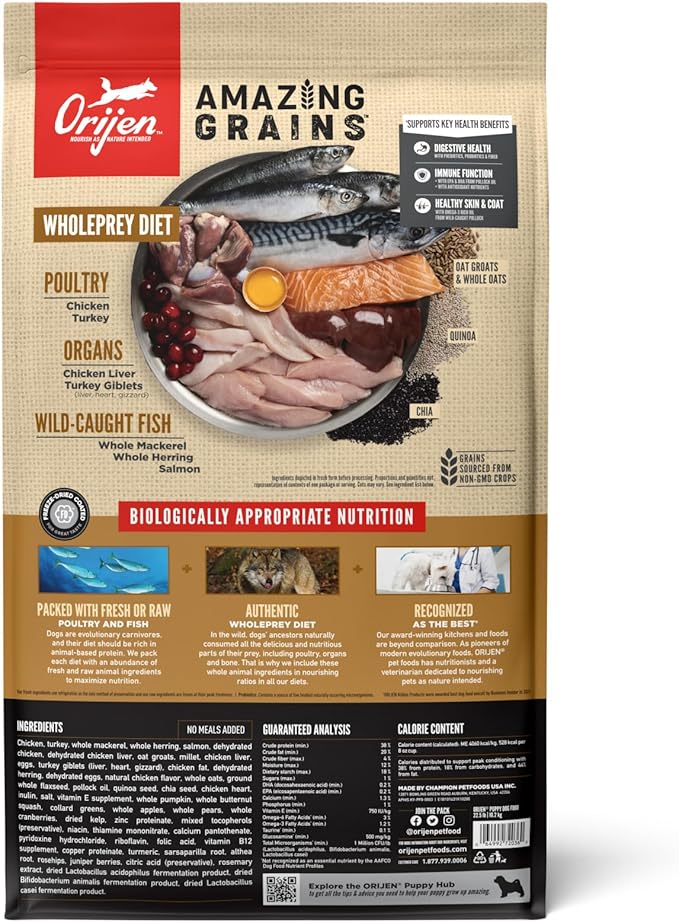 ORIJEN Amazing Grains High Protein Dry Dog Food Puppy Recipe 22.5lb Bag