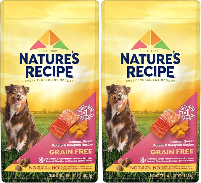 Nature′s Recipe Grain Free Salmon, Sweet Potato & Pumpkin Recipe Dry Dog Food, 4 lb. Bag (Pack of 2)