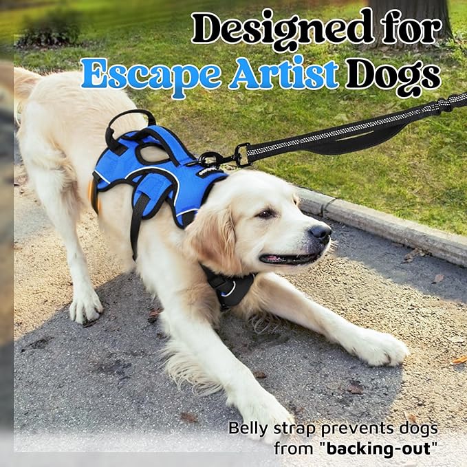 rabbitgoo Escape Proof Dog Harness, Soft Padded Full Body Pet Harness, Reflective Adjustable No Pull Vest with Lift Handle and Leash Clip for Large Dogs Walking Hiking Training, XL, Blue