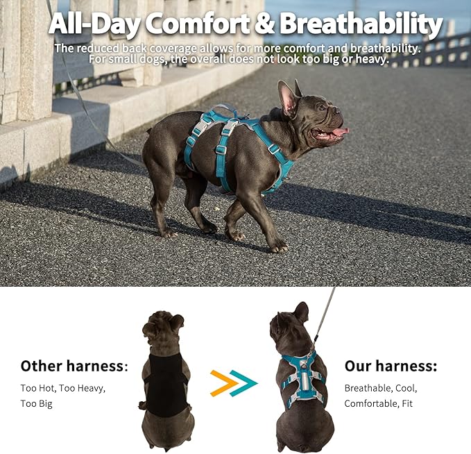 Huntboo Escape Proof Dog Harness, No Pull Reflective Harness with Lift Handle, Adjustable Pet Vest with Front and Back Leash Clips for Small Medium Large Dogs Walking Hiking Training (Teal,L)