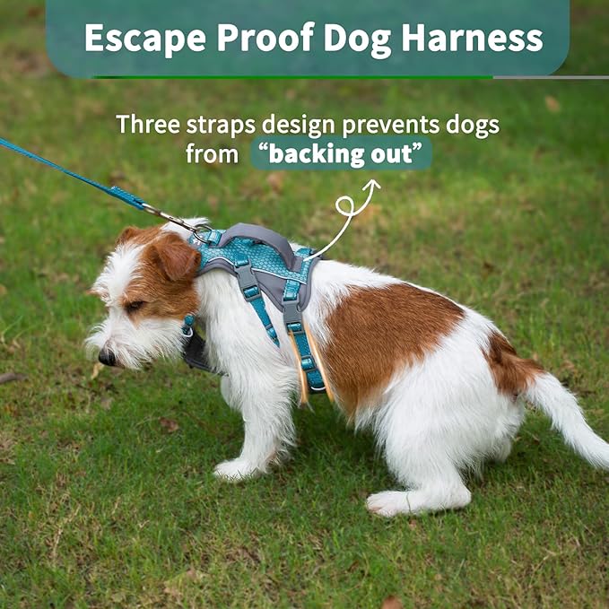 Huntboo Reflective Dog Harness with Handle, Escape Proof, No Slip, Breathable, Lightweight, Adjustable Lift Harness for Small, Medium, and Large Dogs Walking, Training, and Running Gear(Teal Blue,XS)