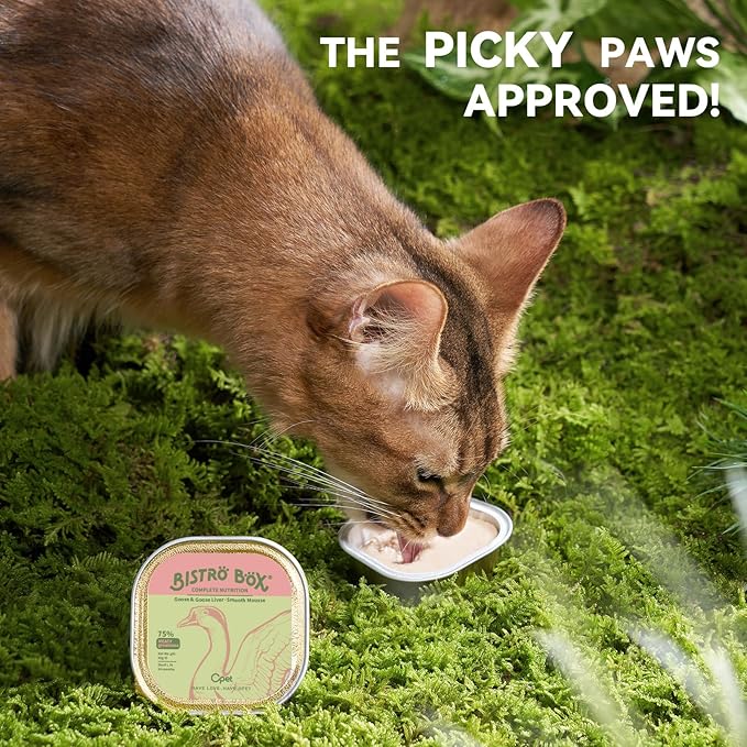 OPET Wet Cat Food Pate, Grain Free Wet Pate, Balanced Recipe Cat Can Food, Goose Flavor 1.41 Ounce Pack of 4