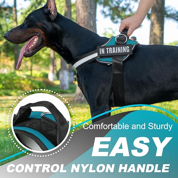 Essential Dog Harness with 3 Leash Clips - No-Pull, Adjustable, Comfortable Pet Vest Harness for Small to Large Dogs - Easy On, No Choke, Reflective, Padded Harness for Walking and Training