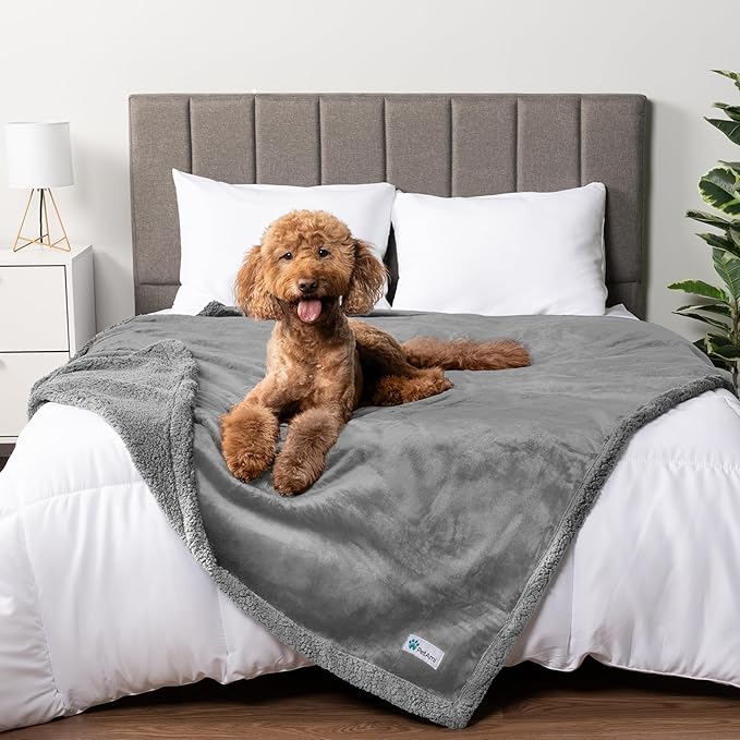 PetAmi Waterproof Dog Blanket for Medium Large XL Dog Puppy Cat Throw for Couch Cover Leakproof Protection, Sherpa Fleece, Reversible Soft Washable 80x60 Light Gray