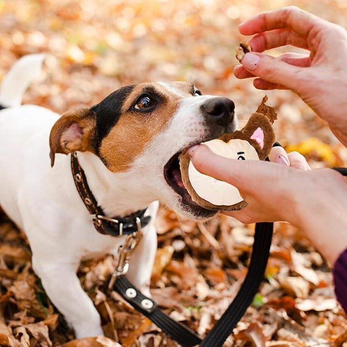 Flourish Pets 2 in 1 Halloween Multi-Layer Chew Toy for Active Dogs | Non-Toxic BPA Free Double Stitched Soft Fabric Exterior Dog Toys | Long-Lasting Dog Plush Toys –Werewolf 3.5"