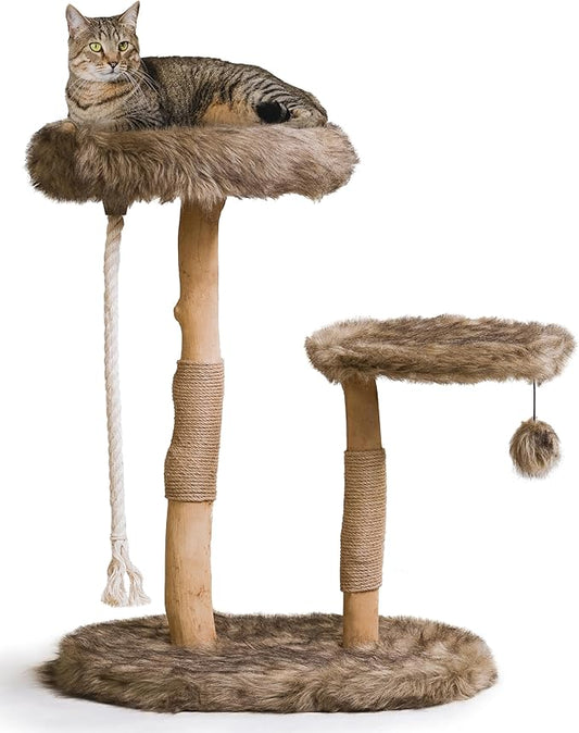 Mau Lifestyle Modern Cat Tree Tower - Natural-Branch Cat Condo & Luxury Wood Cat Scratching Tree - Luxury Cat Gifts by Mau Lifestyle