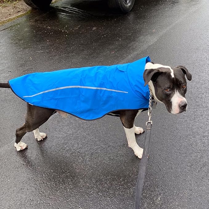 Mile High Life Dog Raincoat, Adjustable Waterproof Reflective Rain Jacket for Small Medium Large Dogs, Lightweight Breathable Pet Rain Coat with Leash Hole(Blue,XXL Chest 36-42")