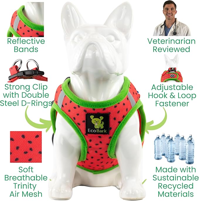 EcoBark Step in Dog Harness - Teacup Dog Harnesses for XXS, XS, and Small Dogs - Soft No Pull Mini Body Halter - Puppy to Senior Dogs - Toy Breed Dog Harness Vest Under 5 pounds lbs (Watermelon, XXXS)
