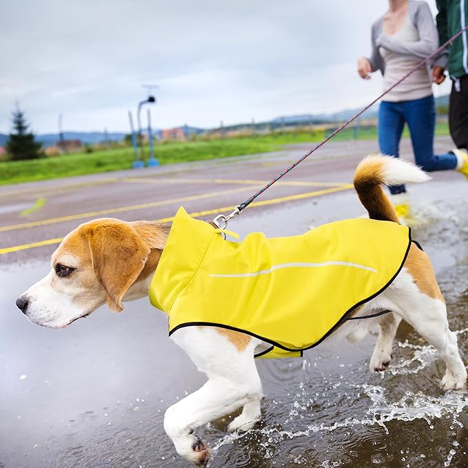 Mile High Life Dog Raincoat, Adjustable Waterproof Reflective Rain Jacket for Small Medium Large Dogs, Lightweight Breathable Pet Rain Coat with Leash Hole(Yellow,M Chest 26-32")