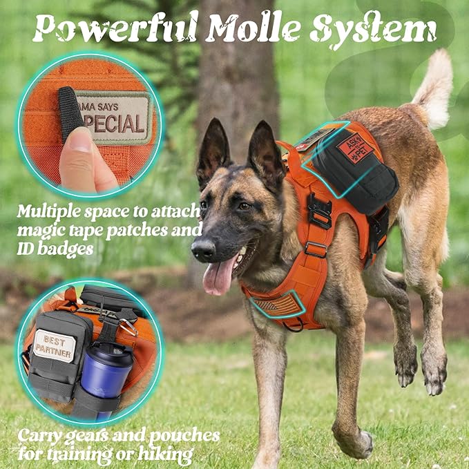 rabbitgoo Tactical Dog Harness Medium Sized, Heavy Duty Pet Harness with Handle, No-Pull Service Vest Medium Breed, Adjustable Military Dog Vest for Training Hunting Walking, Orange, M