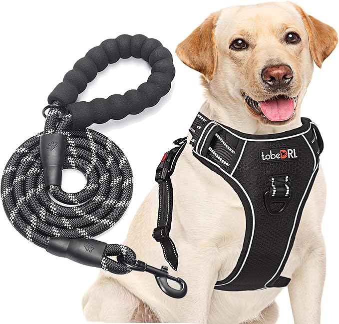 No Pull Harness with A Free Heavy Duty 5ft Leash for Medium Large Dog Adjustable Reflective Oxford Easy Control (L (Neck: 18"-25.5", Chest: 25.5"-31"), Black Harness+Leash)