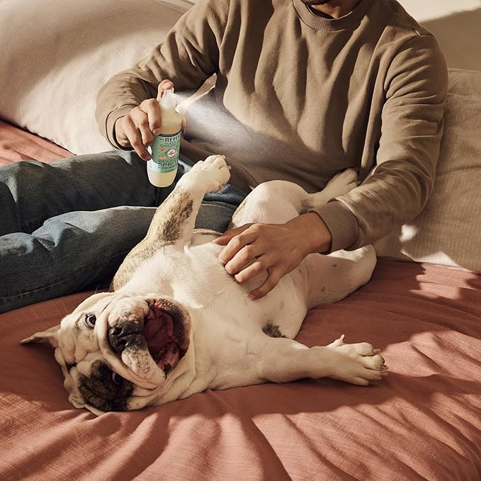 MRS. MEYER'S Clean Day Dog Deodorizing Spray, Sweet Chamomile Scent, 8oz (Pack of 3)