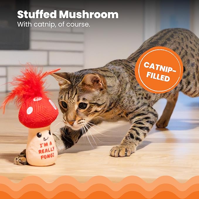 Catstages A Really Fungi Cat Kicker Toy with Catnip and Dental Mesh, Mushroom Shape, Plush and Feather Cat Toy for Kicking, Tossing, and Teeth Cleaning, Red