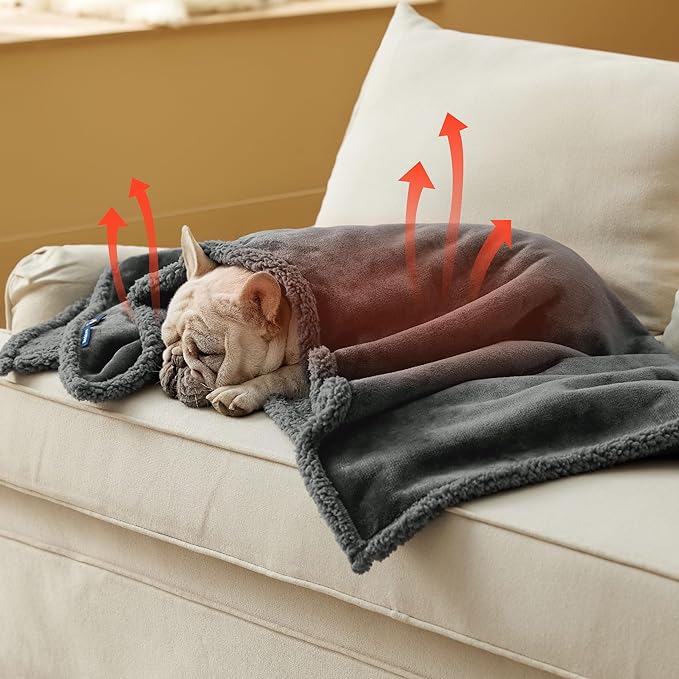 Bedsure Self Warming Blanket for Medium Dogs & Cats - Waterproof, Washable Couch Protector, Sherpa Fleece Puppy Blanket, Soft Plush Reversible Throw, 30"X40", Grey