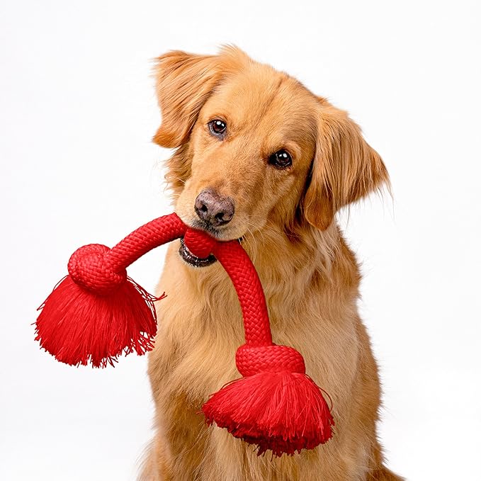 Playology Dog Toys | Dri-Tech Rope Toy Tug of War Rope for Aggressive Chewers | Jumbo Beef Scented Toy - Easy to Clean and Made from Non Toxic Materials