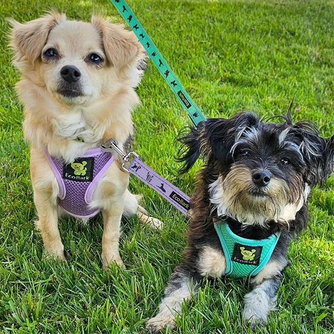 EcoBark Step in Dog Harness Reflective Soft Ultra Padded Mesh Dog Harnesses for XXS, XS, Small, and Medium Dogs Eco-Friendly Comfort Secure Halter No Pull Adjustable Pet Vest