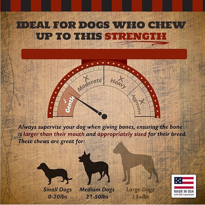 Pork Dino Dog Bone, Halloween Small Coffin Box, Gift for Dogs, 1 Count