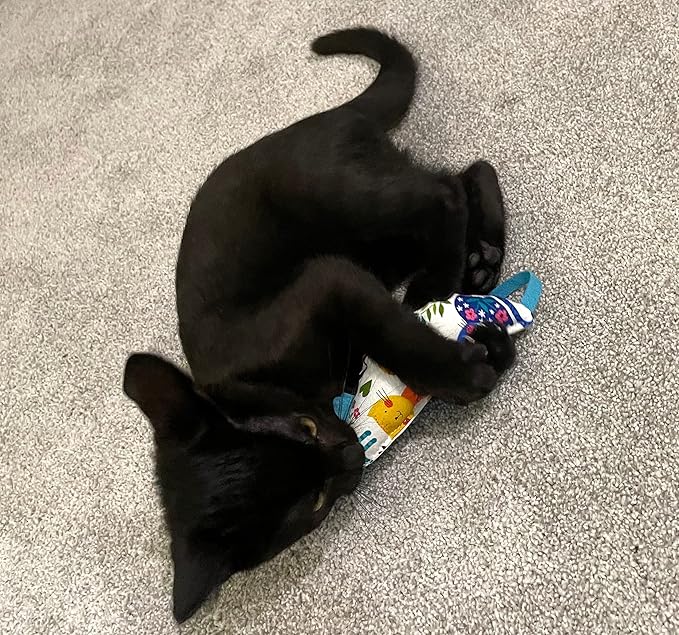 Colorful Catnip Mice CC4 Two Pack for Cats- Handmade in The USA