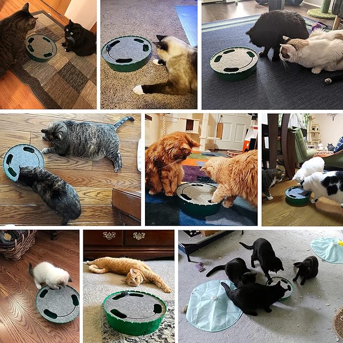 Pawaboo Interactive Cat Toy With Running Mouse, Electronic Motion Automatic Teaser for Indoor Cats, Pop and Play Hide Seek Hunting Mouse for Pet Kitten Play Fun Exercise, Lake Blue