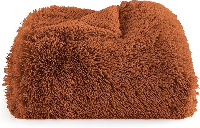 Bedsure GentleSoft Fuzzy Sherpa Faux Fur Twin Blanket Burnt Orange Cozy Gifts for Women Men, Soft Fleece Plush Warm Thick Blanket Twin Size for Bed, Room Dorm Essentials Orange Decor Gifts, 60x80