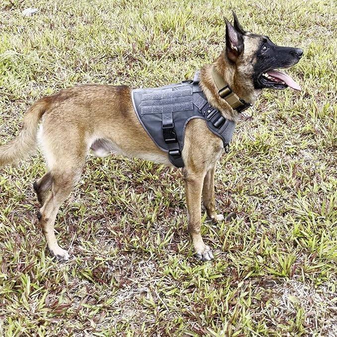 ICEFANG Tactical Dog Harness, X-Large Size,2X Metal Buckle,Working Dog MOLLE Vest with Handle,No Pulling Front Leash Clip,Hook and Loop Panel (Grey,XL (Pack of 1))
