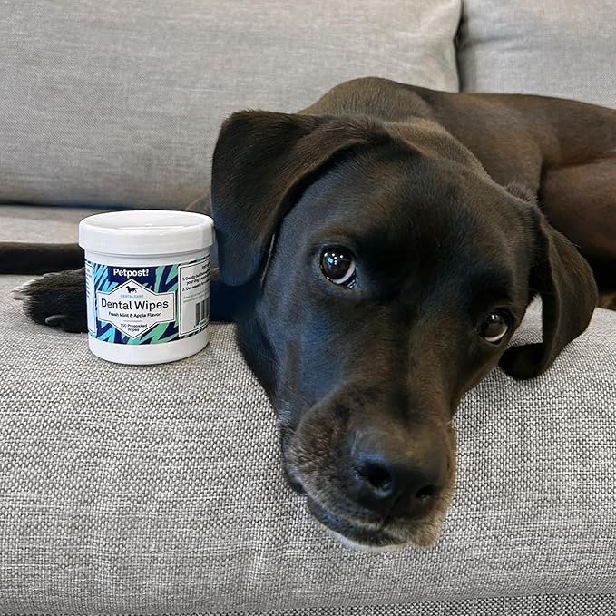 Petpost Dental Wipes for Dogs | 100 Count Presoaked Pads in Natural Tooth Cleaning Solution | Bad Breath and Tooth Buildup Remover