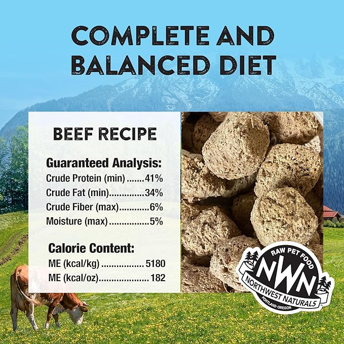 Northwest Naturals Freeze-Dried Beef Dog Food - Bite-Sized Pieces - Grain-Free, High-Protein, Raw Diet, Human-Grade, Limited Ingredients, All Natural, Nutrient-Dense, Healthy & Nutritious - 12 Oz