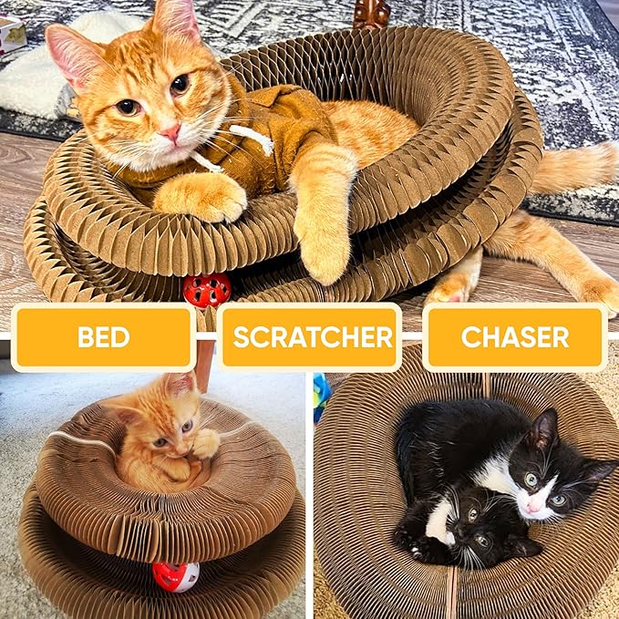 Kitty Kurlz - Kitty Kurlz Magnetic Toy & Reversible Cardboard Scratcher - Collapsible Ball Track with Bell - Durable Eco-Friendly Ring for Play, Chase & Scratch