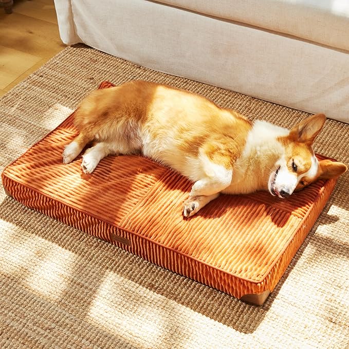 FUKUMARU Dog Bed, Plush Corduroy Orthopedic Dog Beds with Washable Cover, Large Waterproof Dogs Bed for Crate, Egg Crate Foam Support Pet Mat, Cozy Pet Bed Mat with Anti-Slip Bottom, Orange